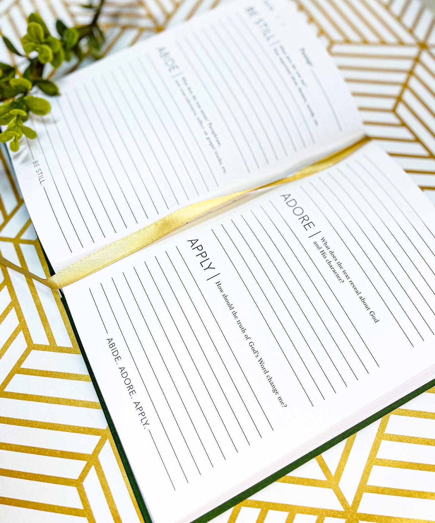 Study the Word Journal