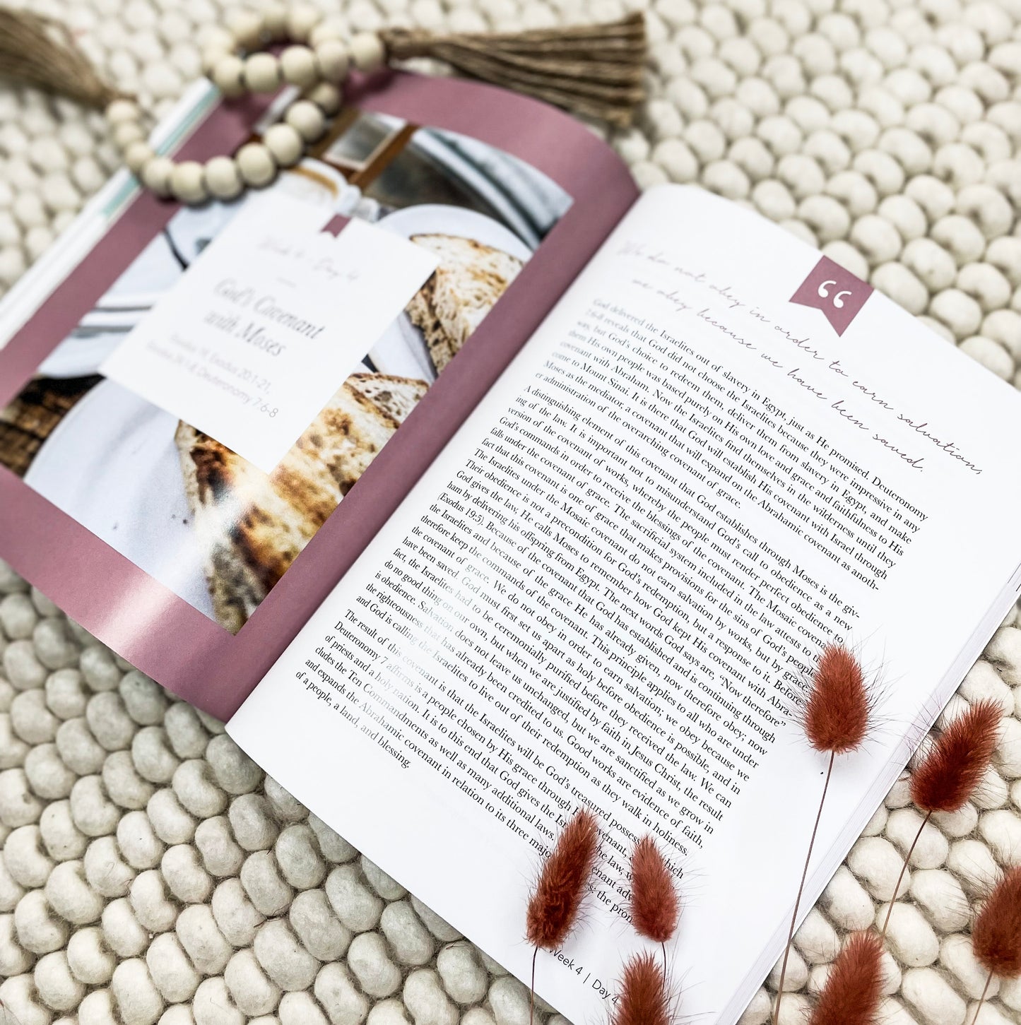 Faithful-The Covenant God from Eden to Eternity