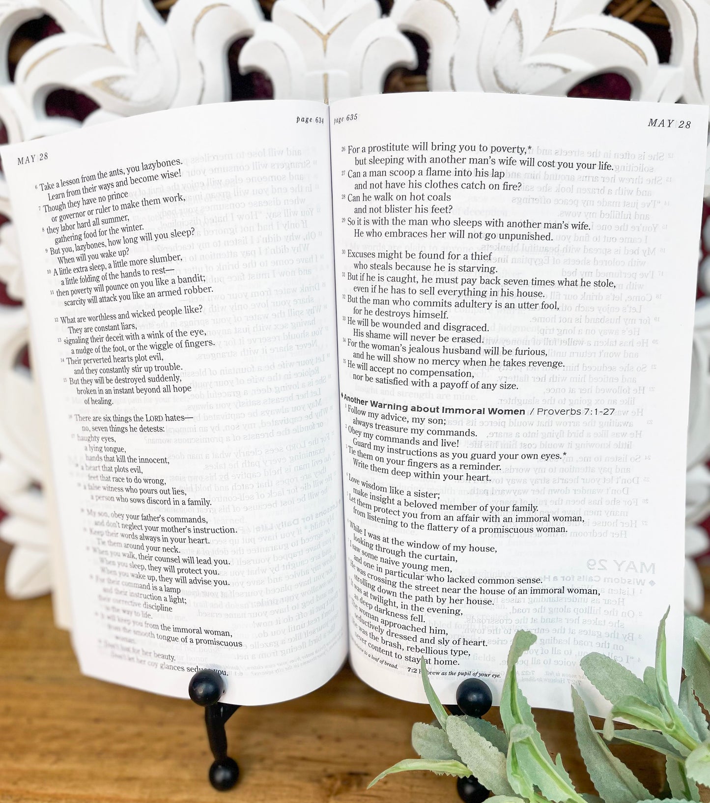 Chronological Bible in a year