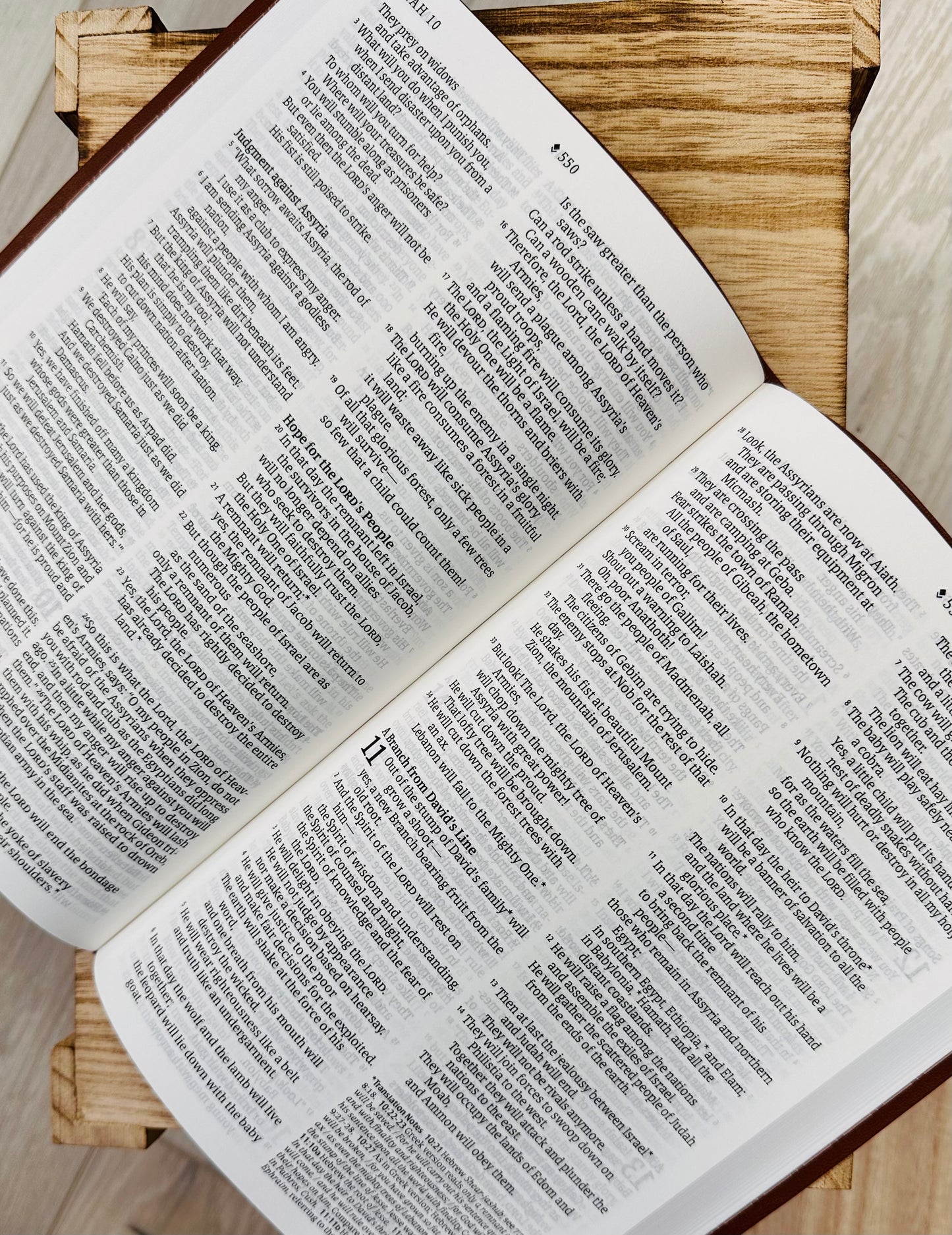 NLT Bible