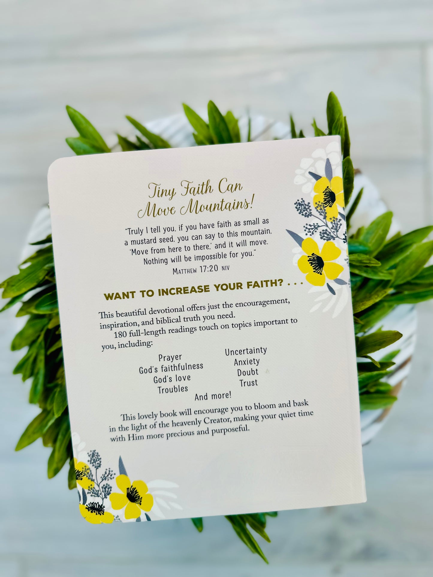A mustard seed faith Devotional
