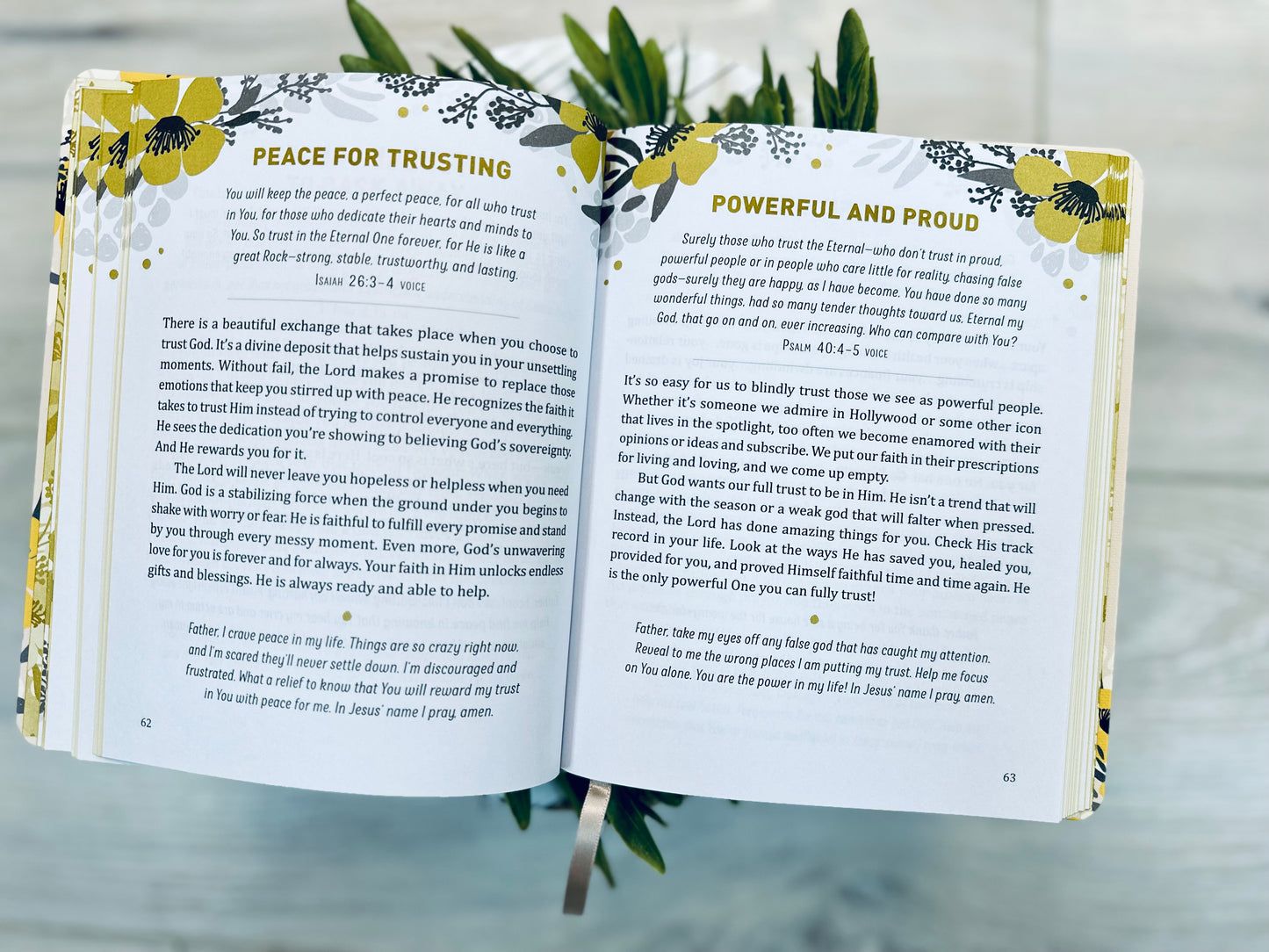 A mustard seed faith Devotional