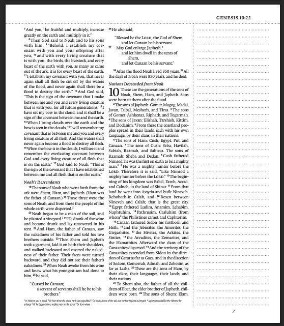 ESV Journaling Bible® TruTone - Brown/Tan, Timeless Design