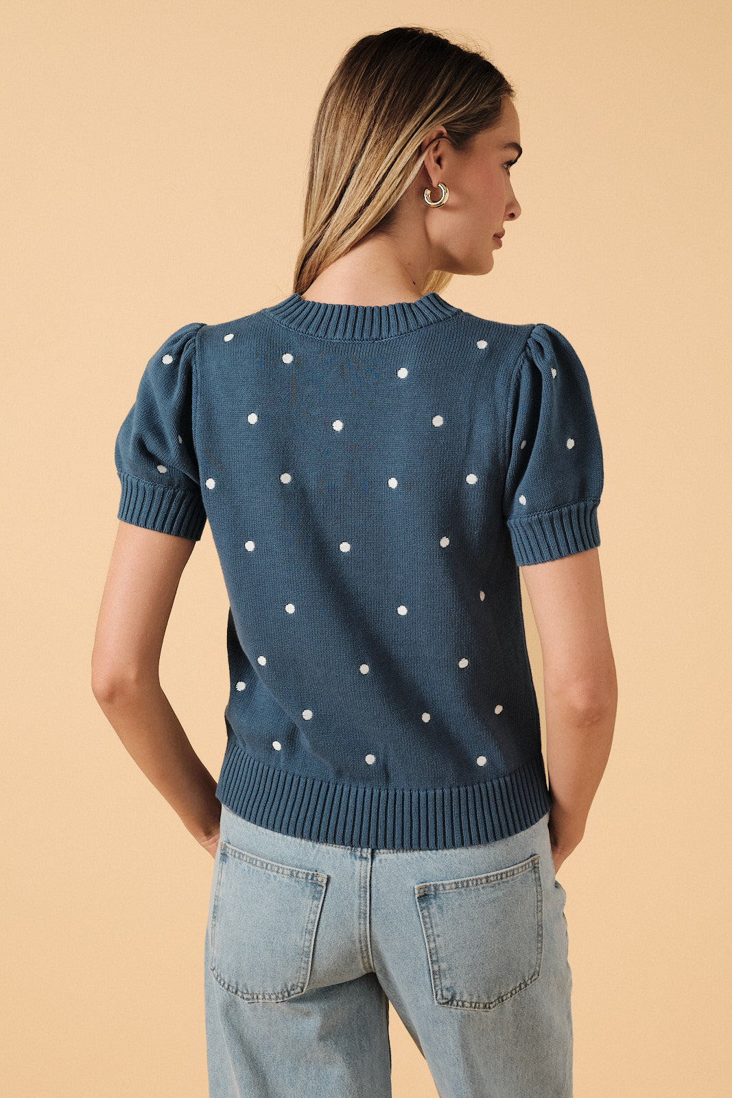 Round Neck Puff Short Sleeve "Polka Dot" Embroidered Sweater