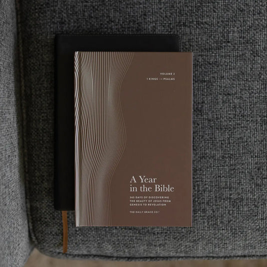 A Year In The Bible Volume 2- Men's
