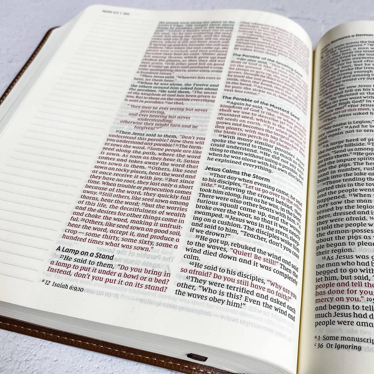 Freedom NIV Journaling Bible