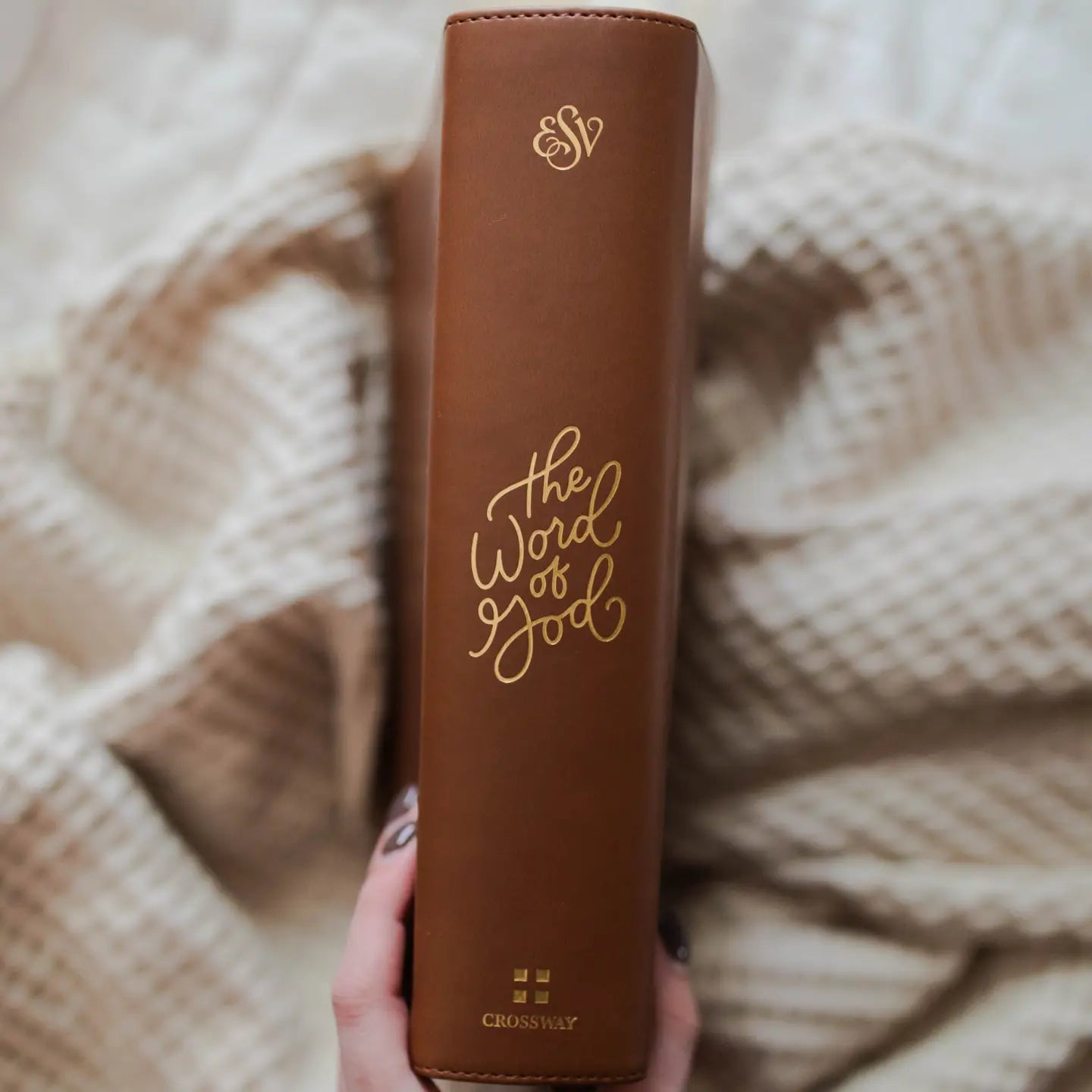 ESV Study Gold Leaf Bible