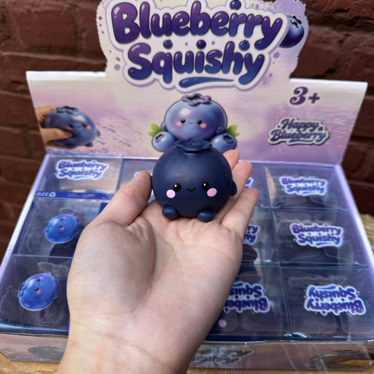 Crunchy Blueberry Squishy