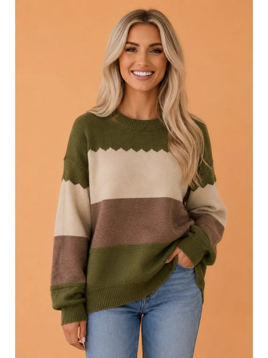 Colorblock Crew Neck Drop Shoulder Sweater