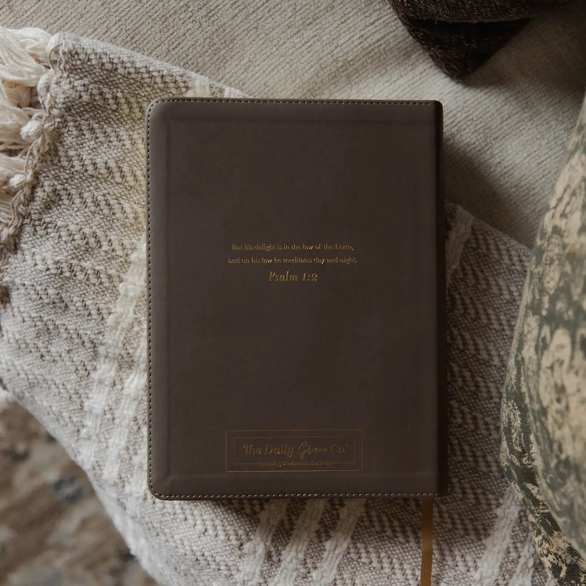 ESV Single Column Journaling Bible | Delight