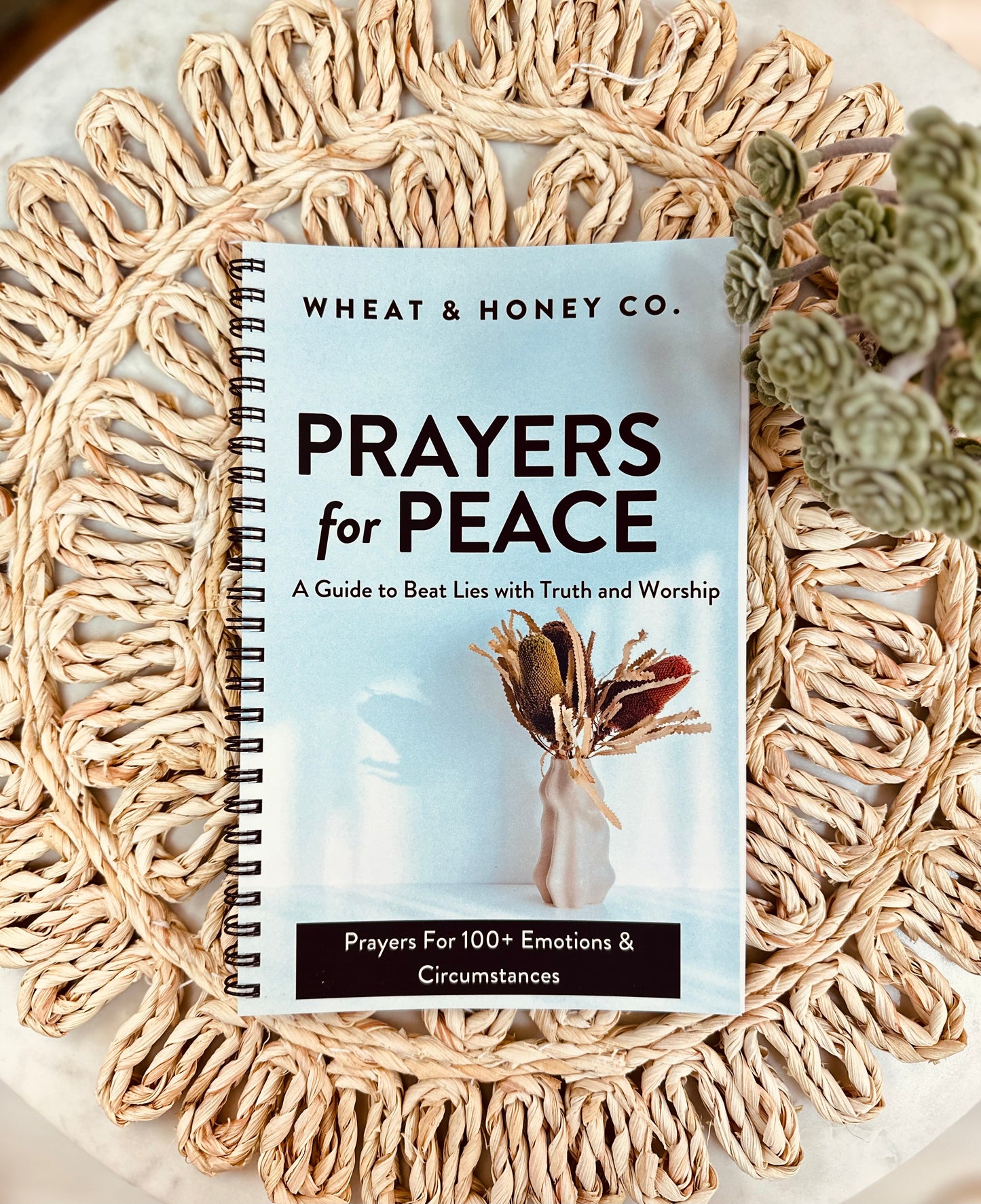 Prayers for Peace: A guide to beat lies with truth & worship