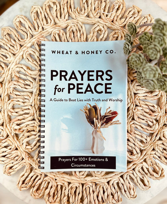 Prayers for Peace: A guide to beat lies with truth & worship