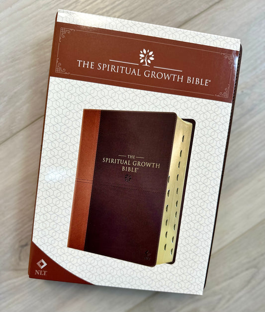 Bible Study Sticky Note Set – Saving Grace Christian Boutique