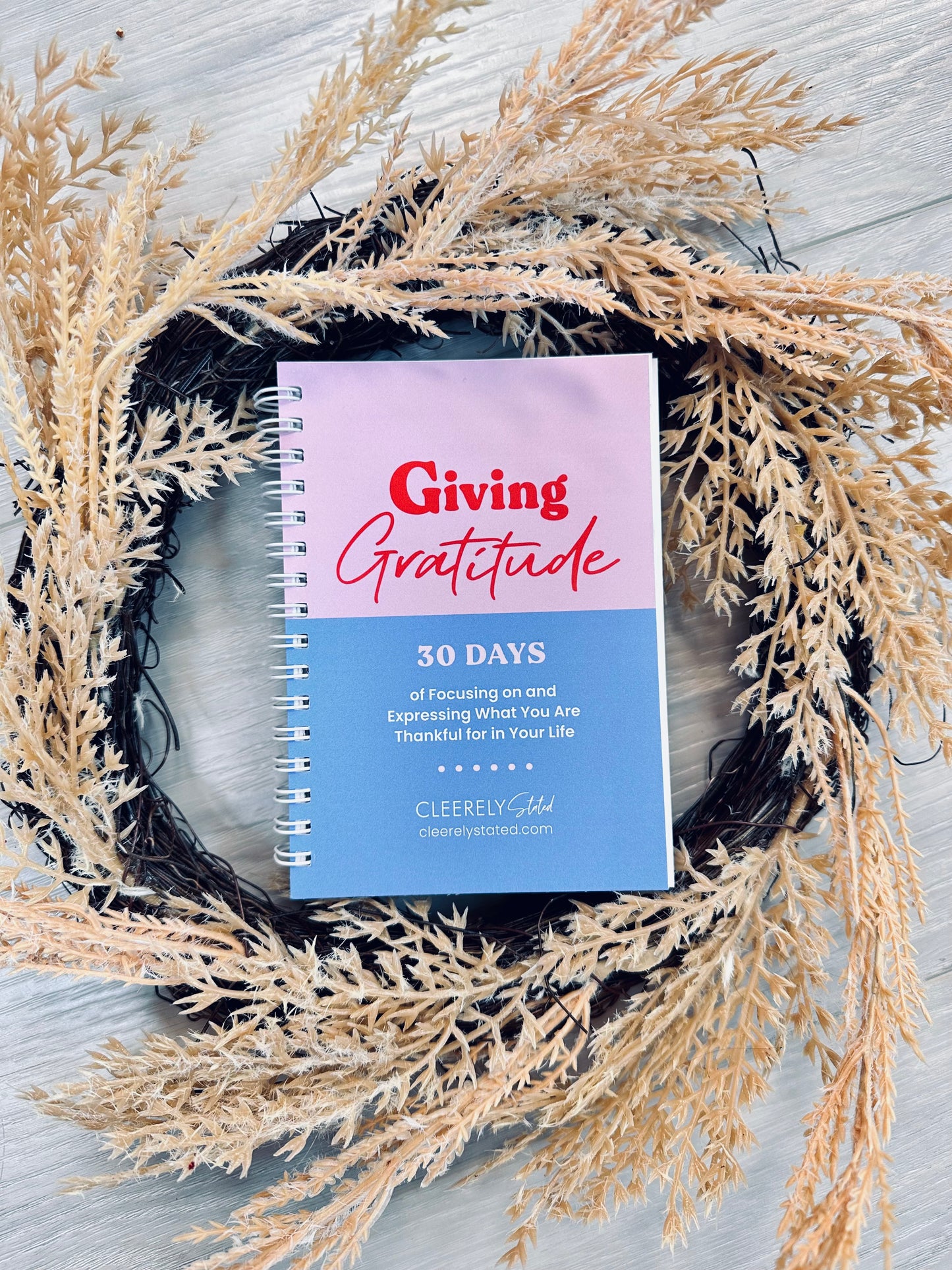 Giving Gratitude 30 Day Guided Journal