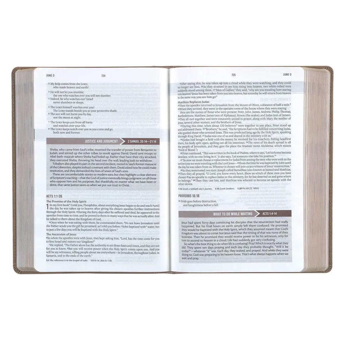 NLT Devotional Bible For Men- Tan