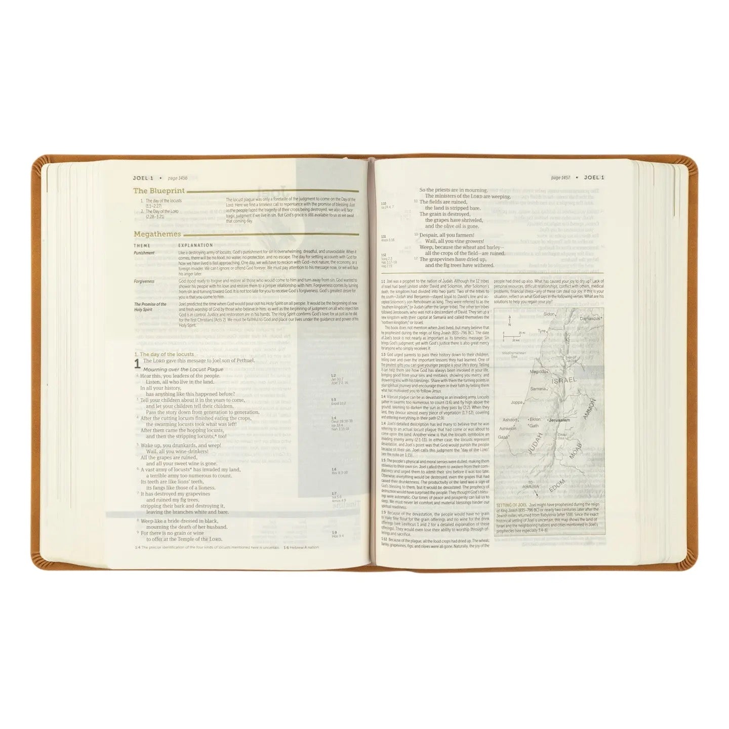 NLT Life Application Study Bible: Amelia Theme