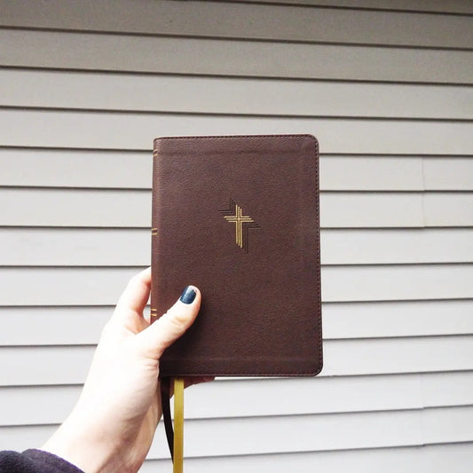 NIV Large Print Compact Bible
