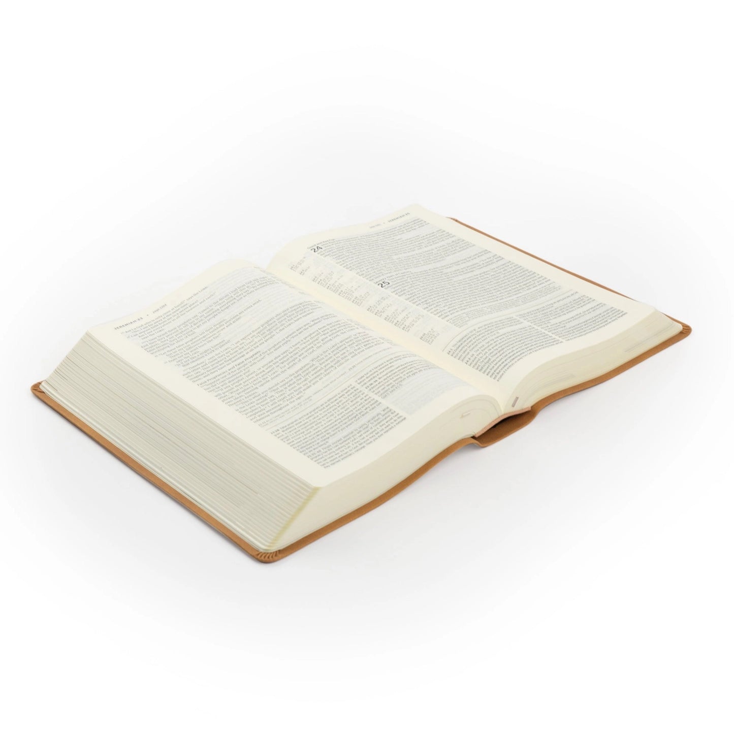 NLT Life Application Study Bible: Amelia Theme