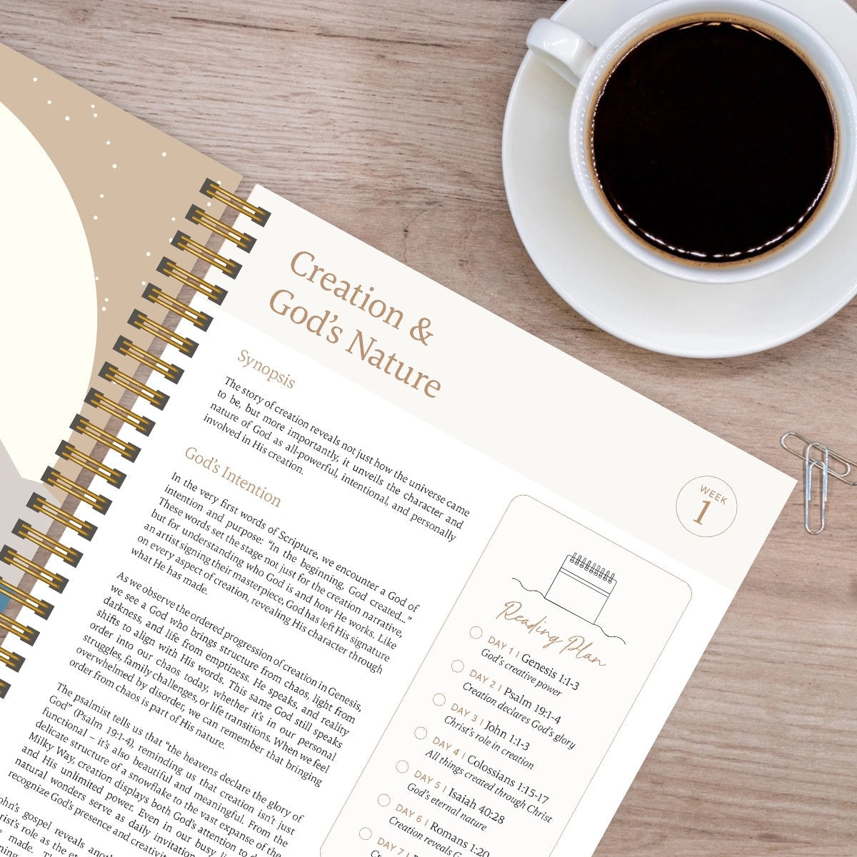 The Bible in A Year: A 52 Week Study