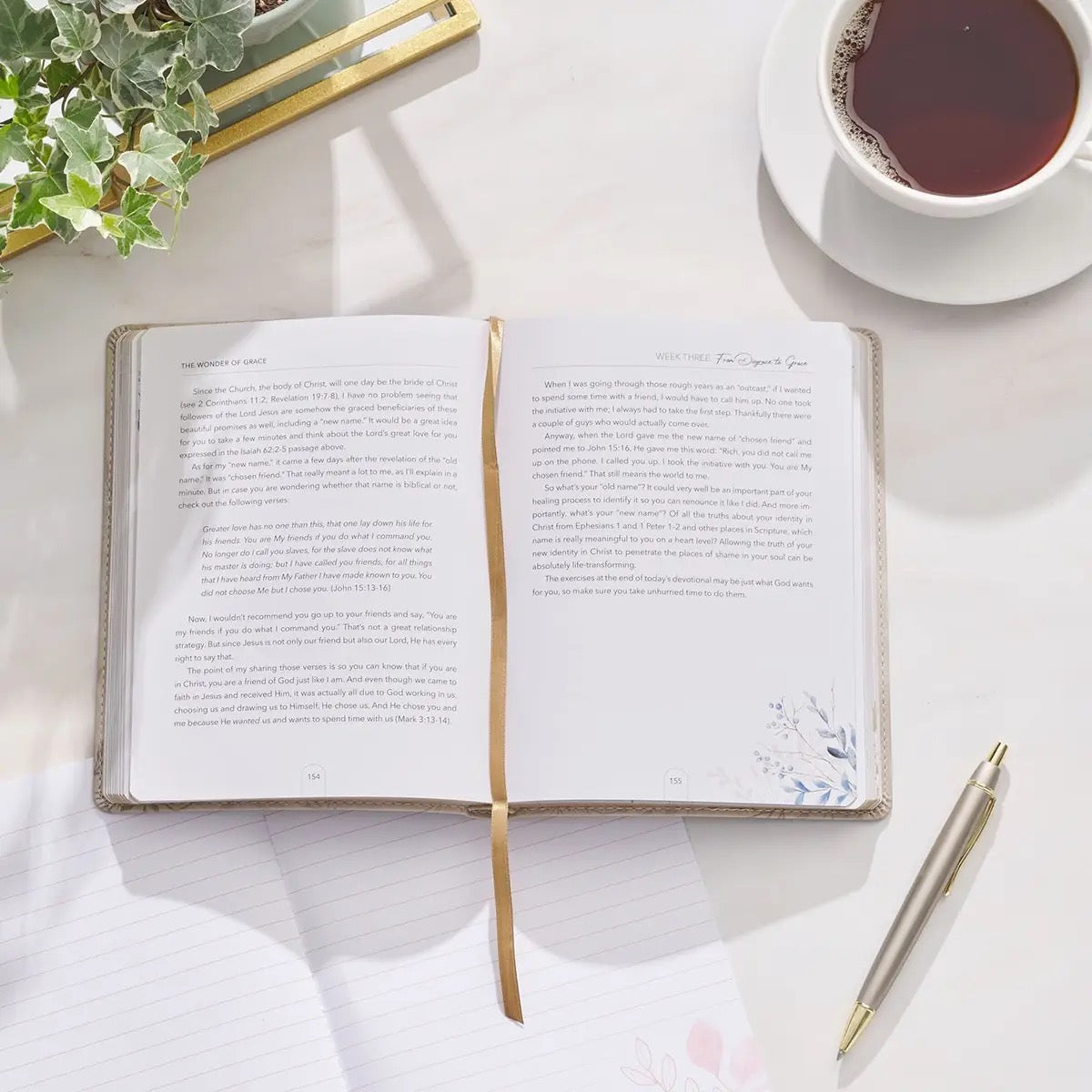 The Wonder of Grace; 40 Day Devotional Journey