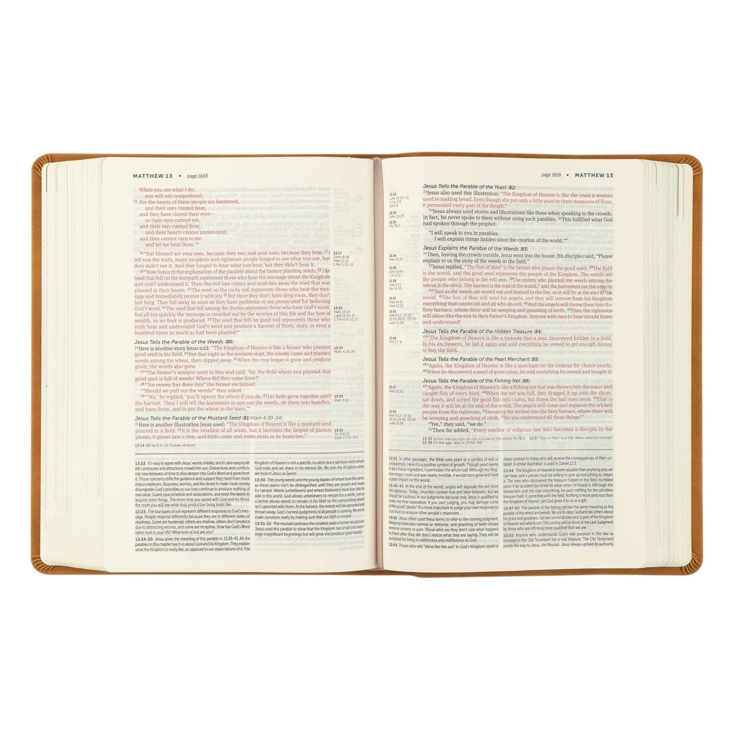 NLT Life Application Study Bible: Amelia Theme