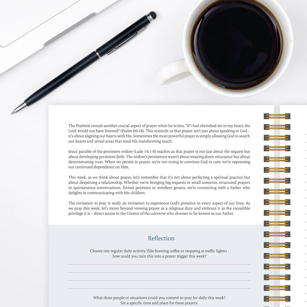 The Bible in A Year: A 52 Week Study