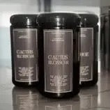 Flame & Fire Laundry Powder