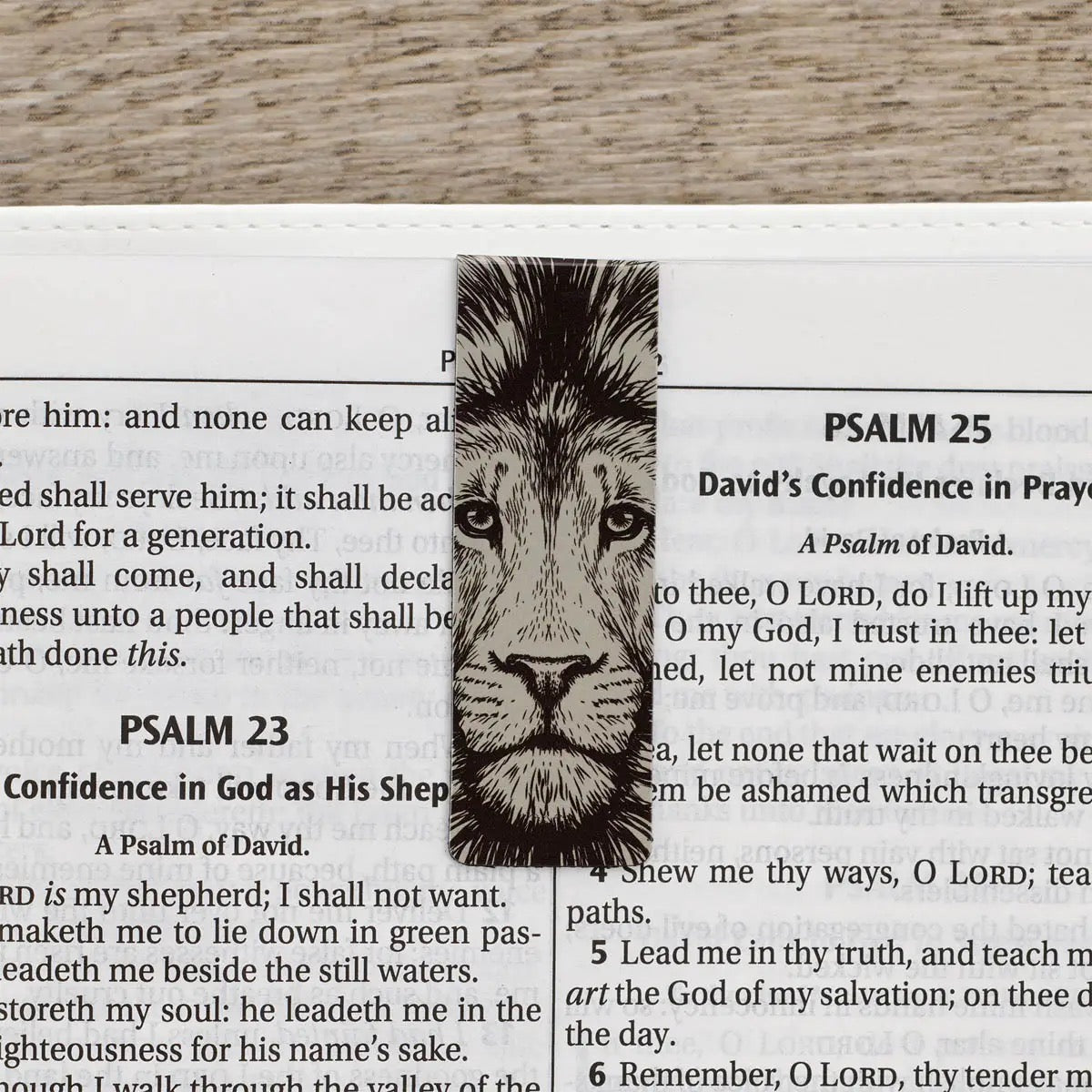 Strong & Courageous Josh 1:9 Magnetic Bookmark Set