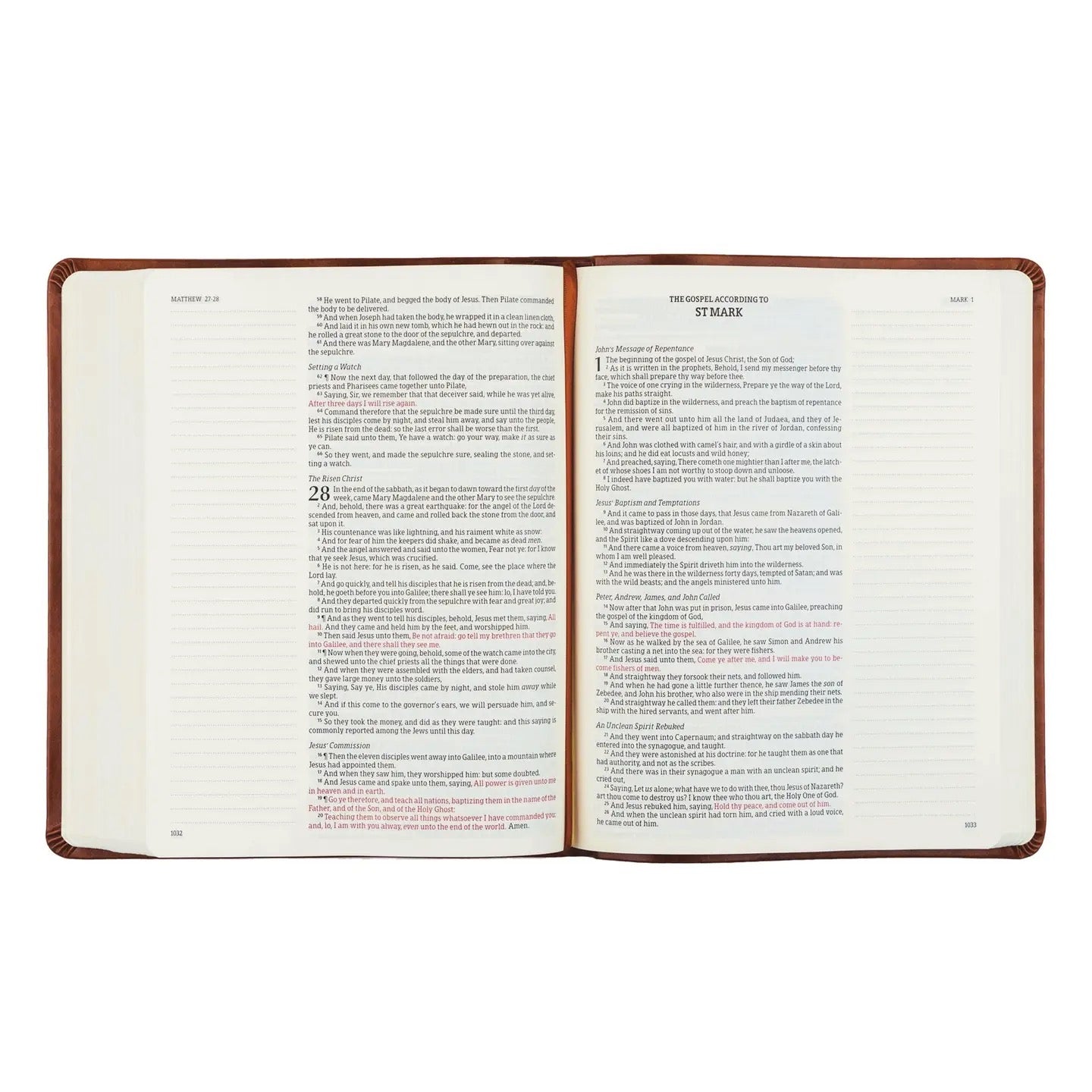 KJV Large Print Note-taking Bible: Vienna Theme