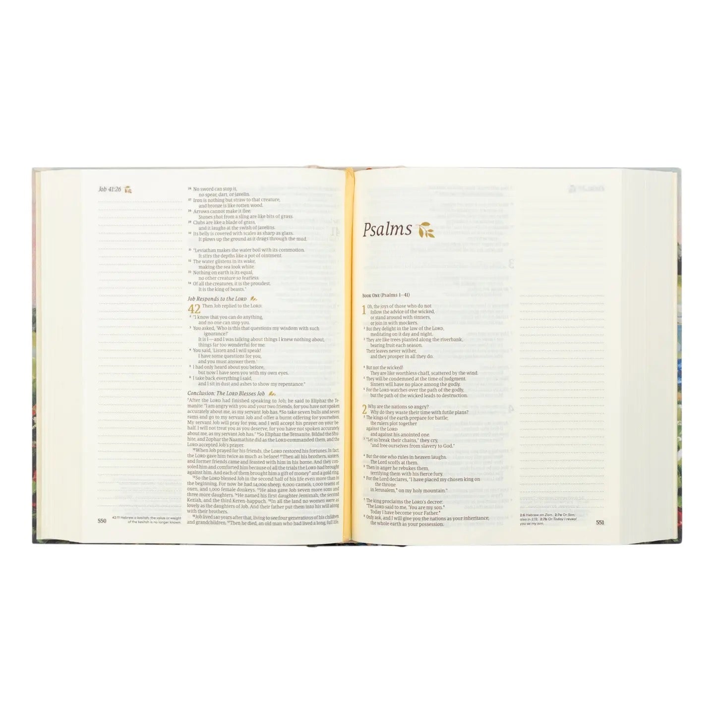 NLT Notetaking Bible: Coram Theme
