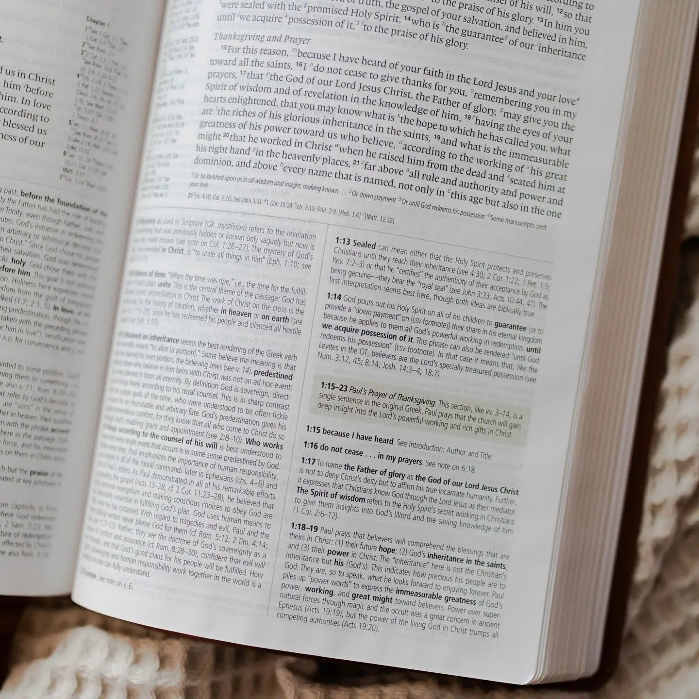 ESV Study Gold Leaf Bible