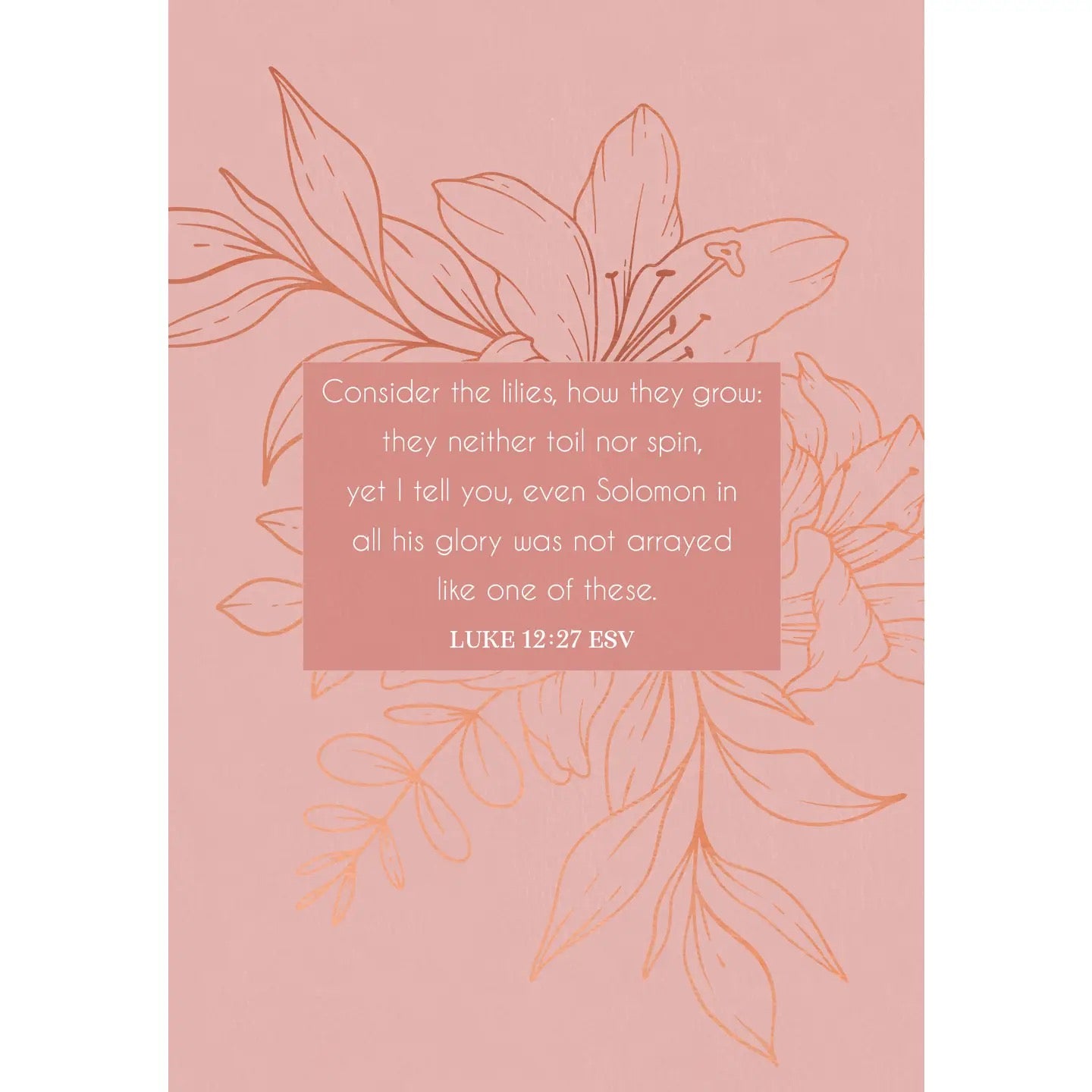 Consider The Lilies Daily Devotional for Women
