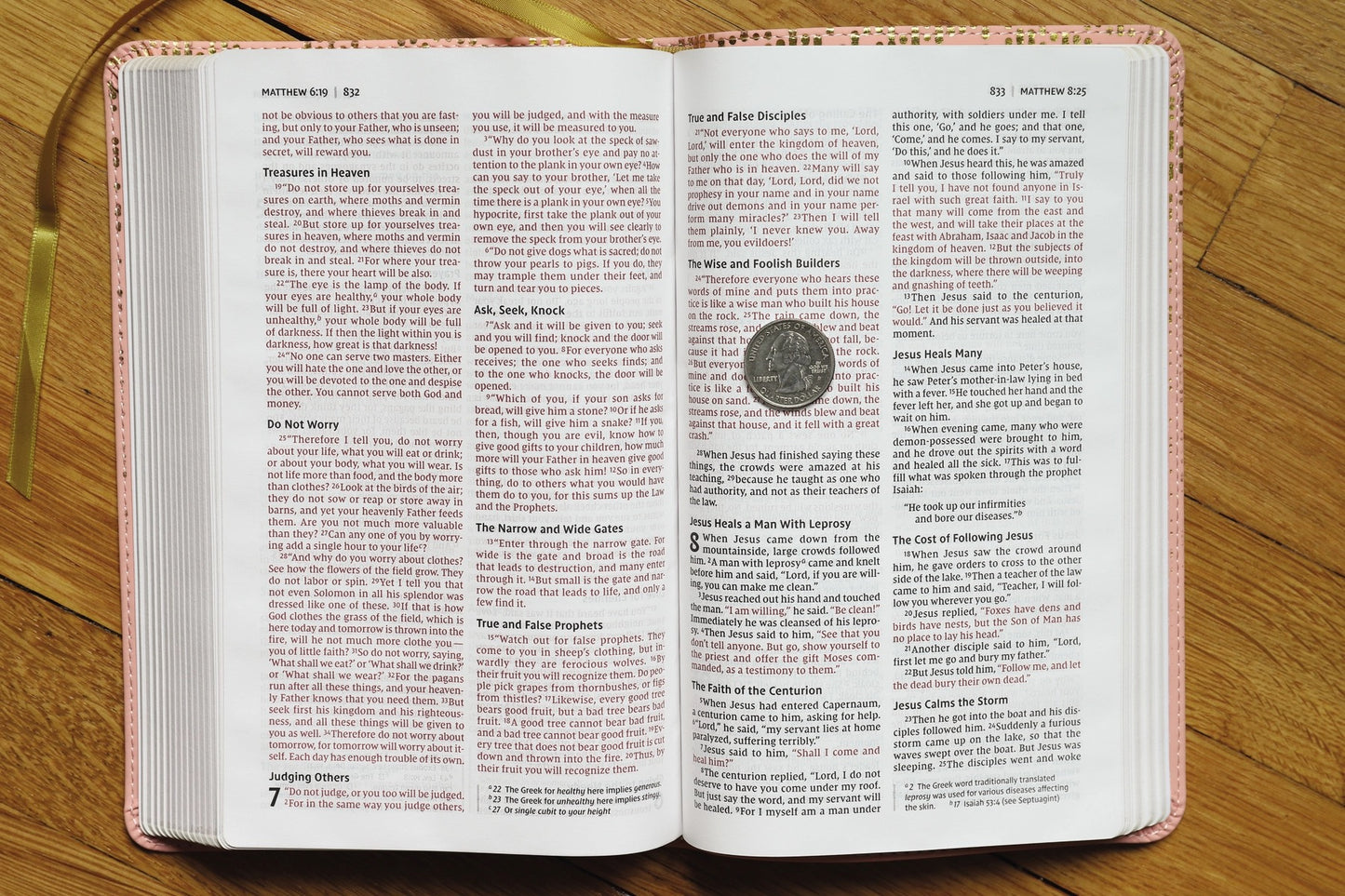 NIV Bible For Teen Girls