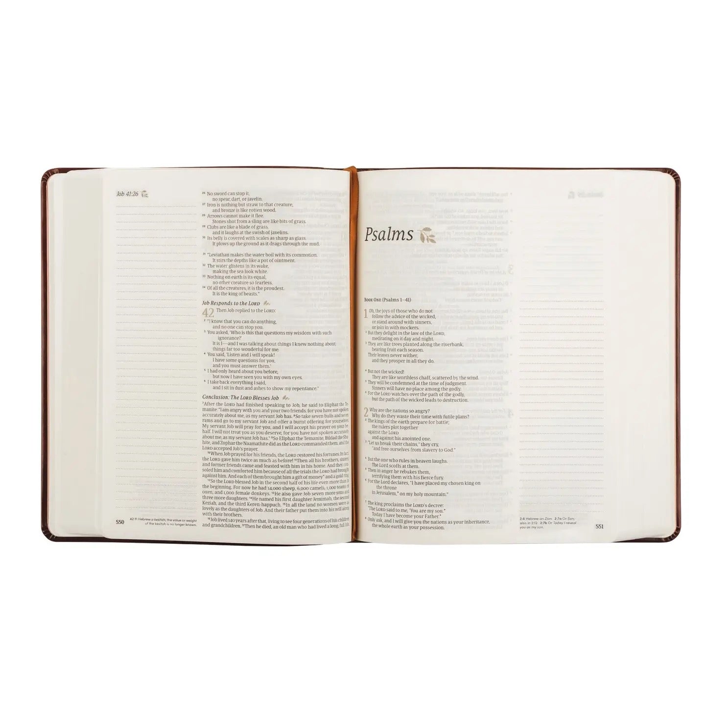 NLT Note taking Bible: Santa Elena Theme