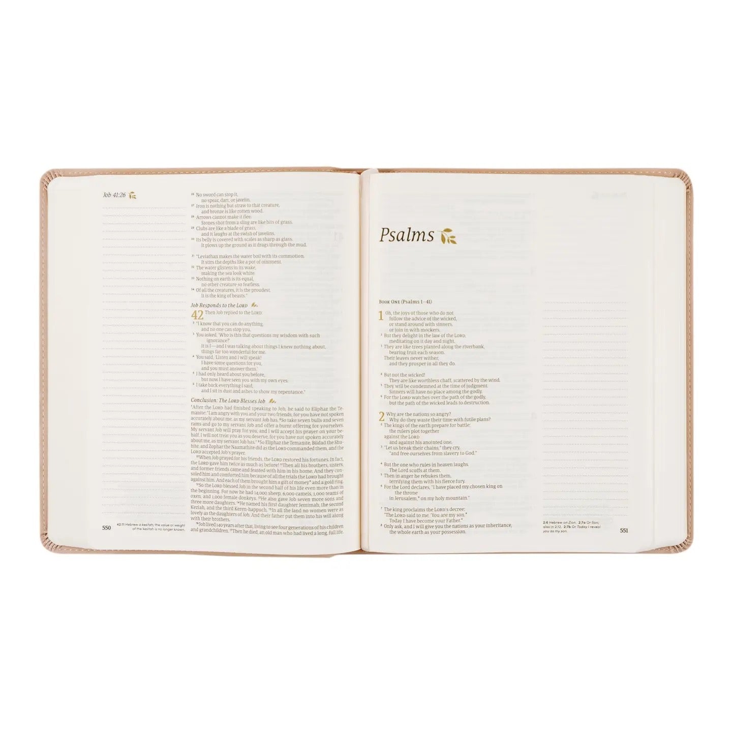 NLT Notetaking Bible: Shiloh Theme