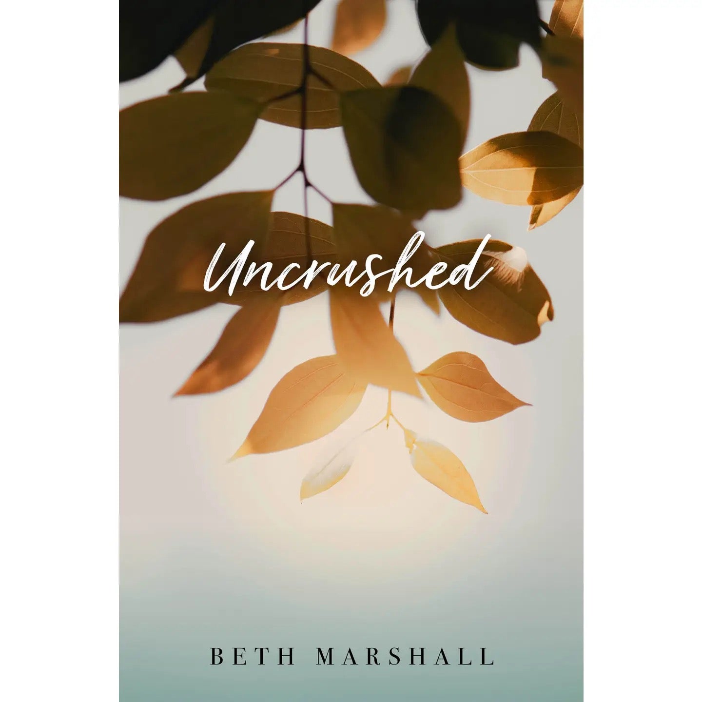 Uncrushed-Adult Grief Healing Book