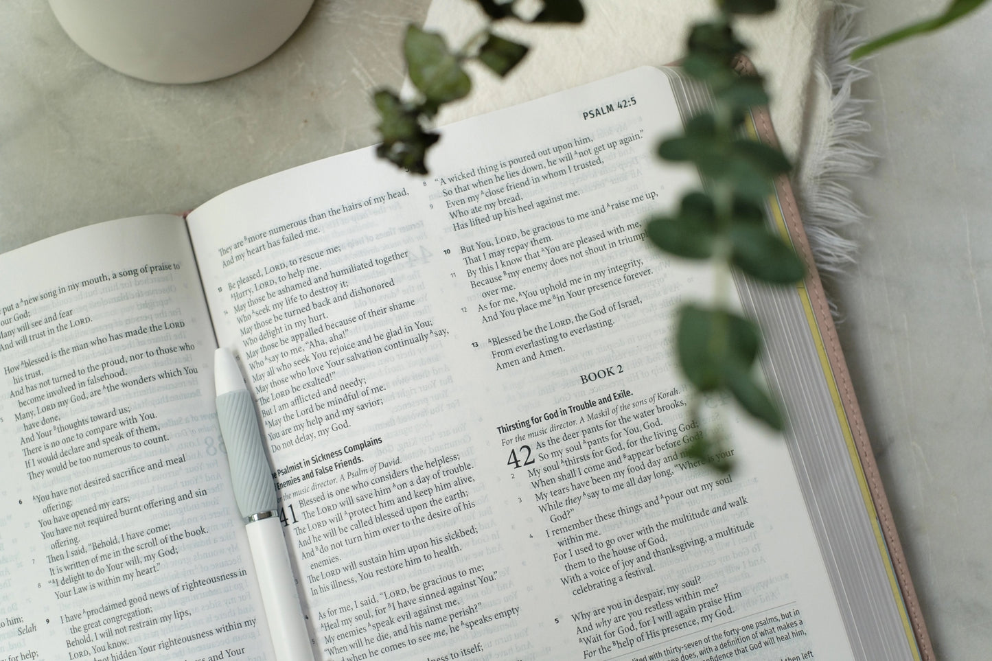 NASB Light For Life Study Bible - Blush Boquet