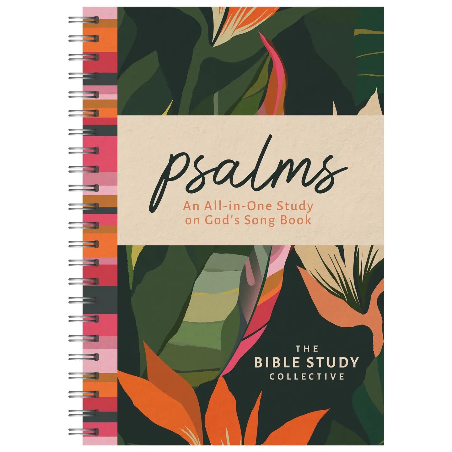 Psalms: All In One Study on God's Song