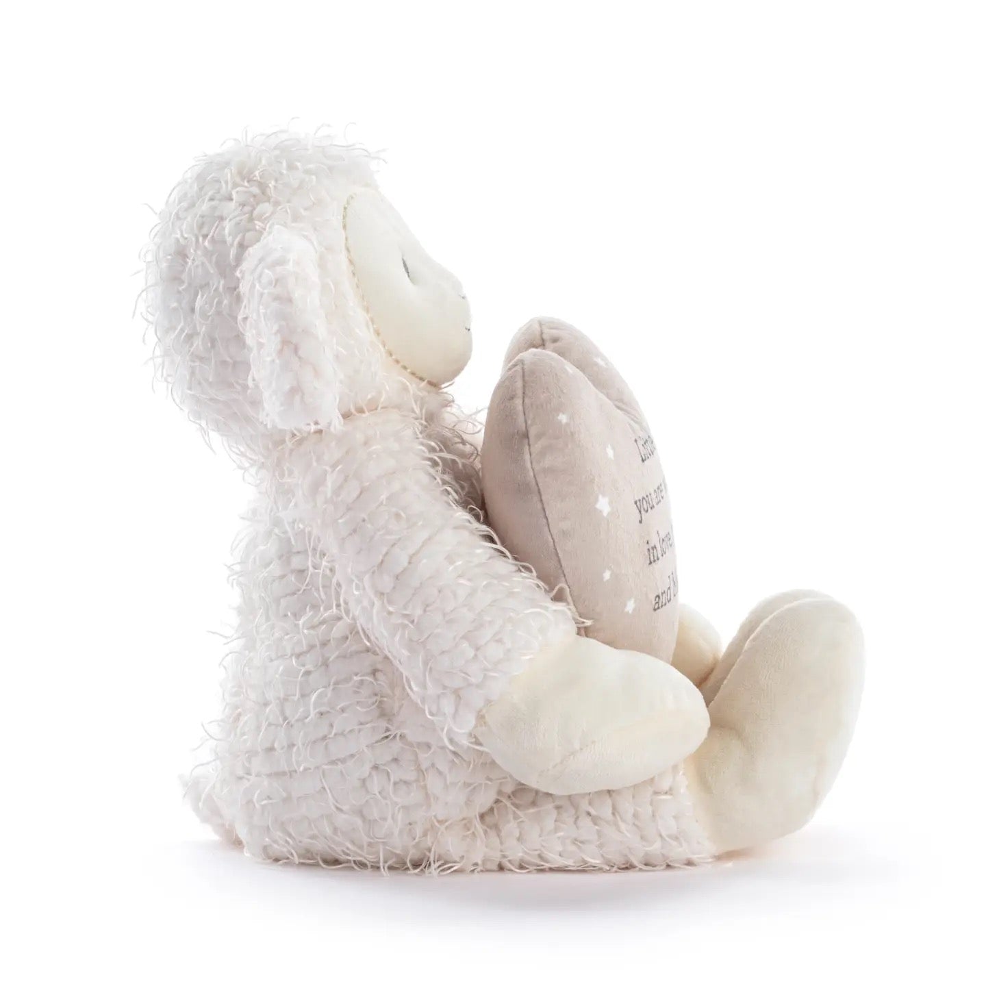 Pray With Me Lamb