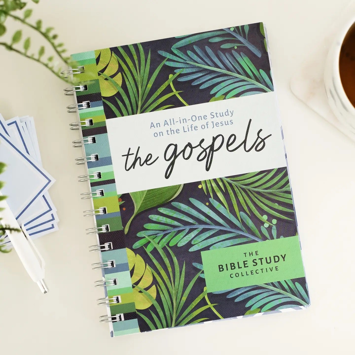 The Gospels Bible Study