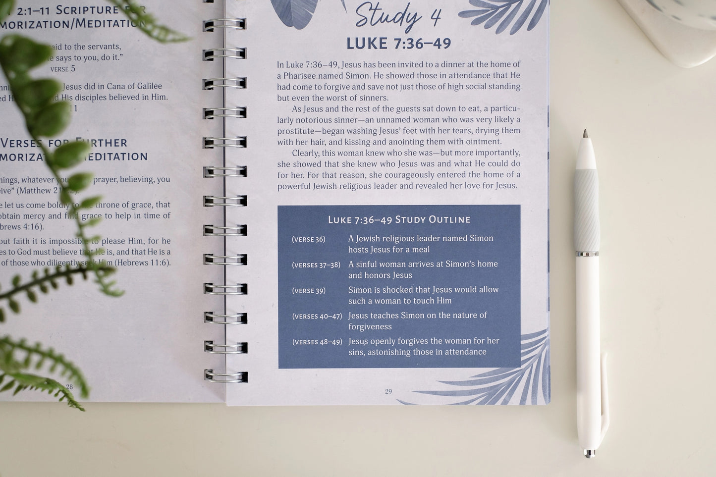 The Gospels Bible Study