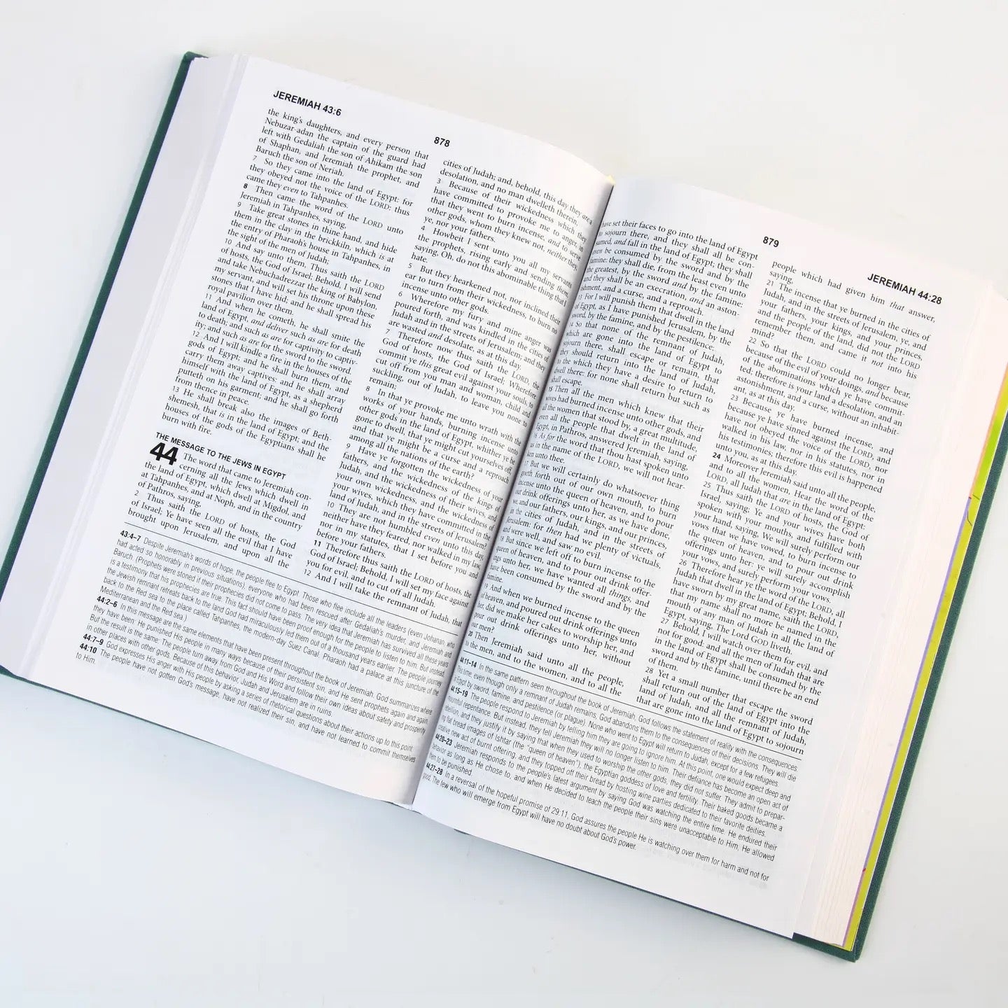 KJV Study Bible - Sage Bouquet