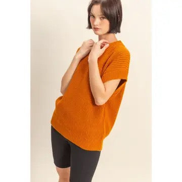Short Sleeve Oversized Knit Sweater
