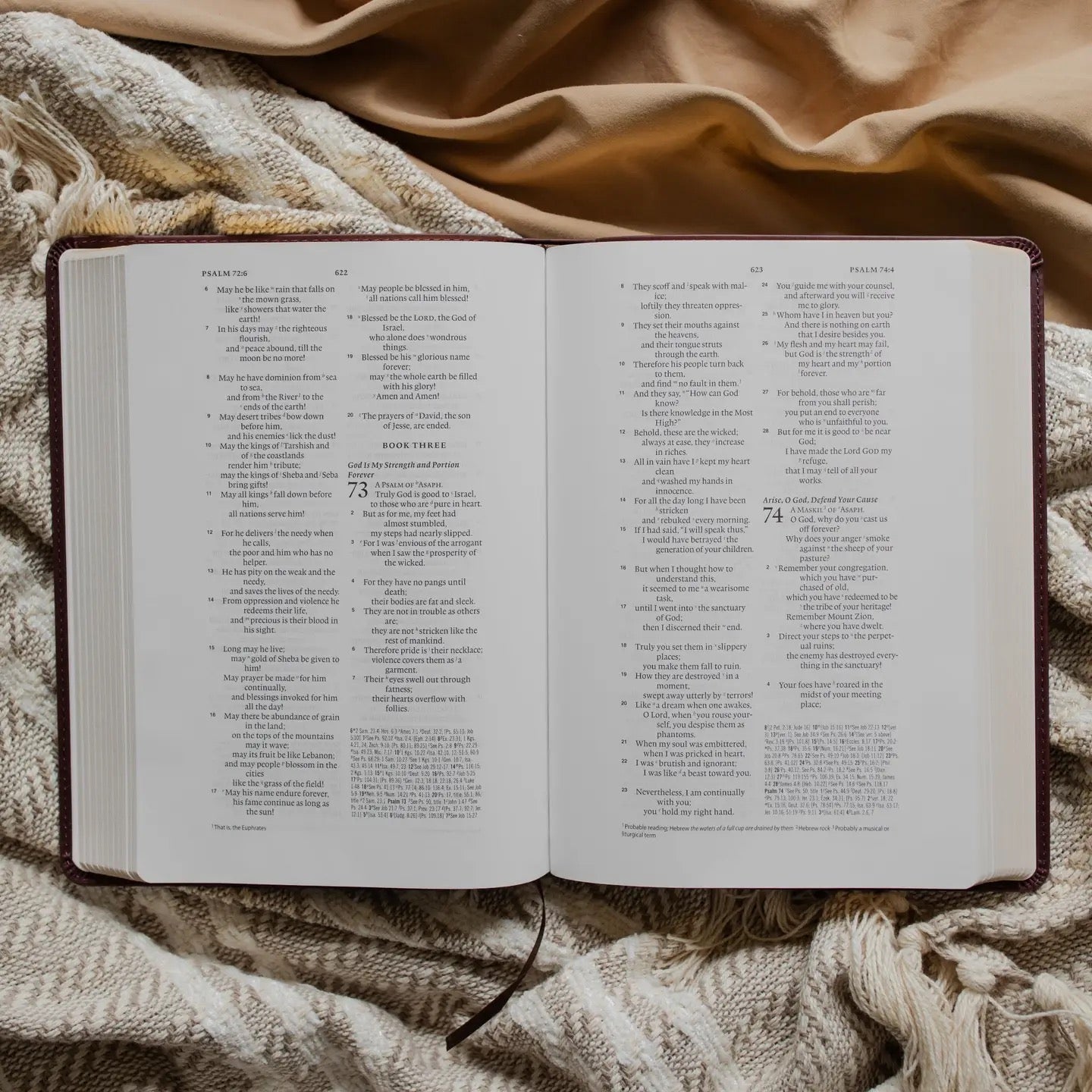ESV Wide Margin Reference Bible - John 15:5