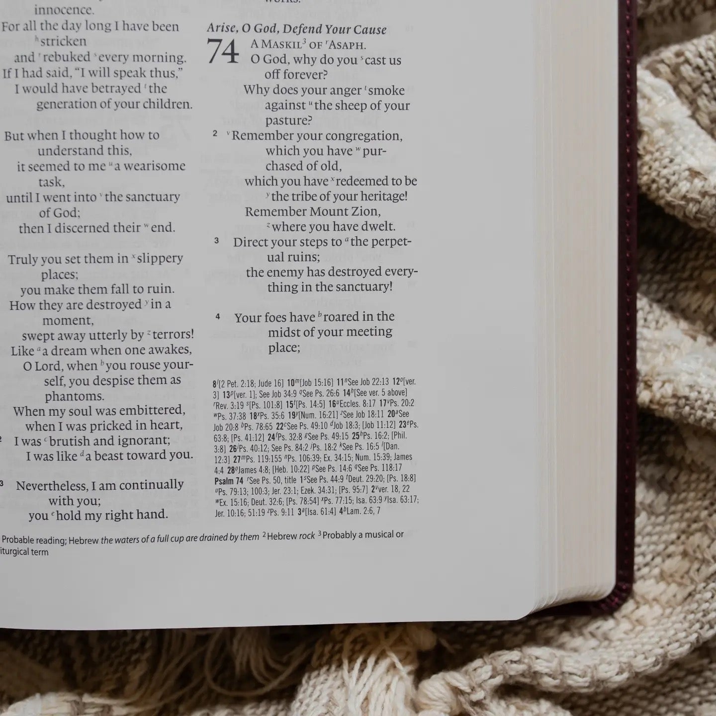 ESV Wide Margin Reference Bible - John 15:5