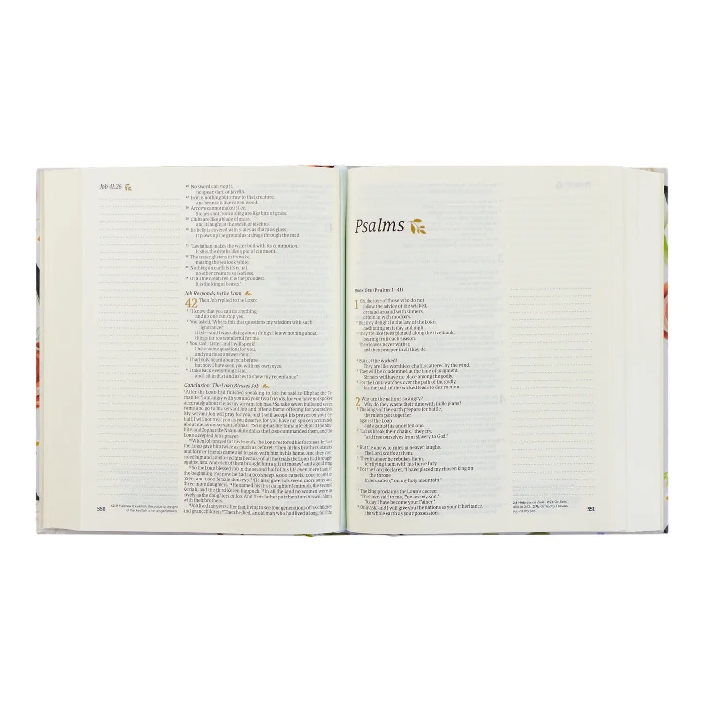 NLT Notetaking Bible: Loveland Theme