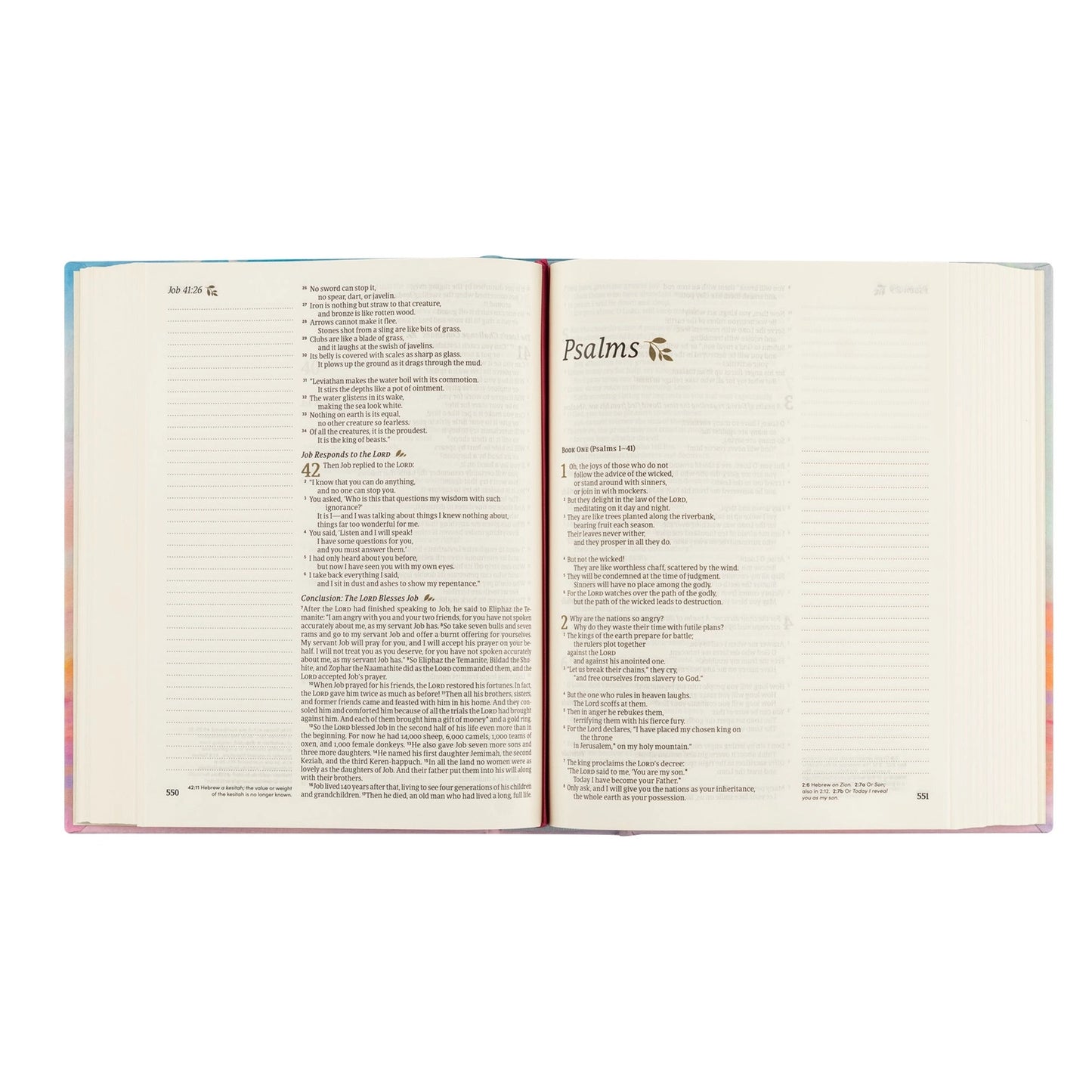 NLT Note Taking Bible - Rosemary Beach
