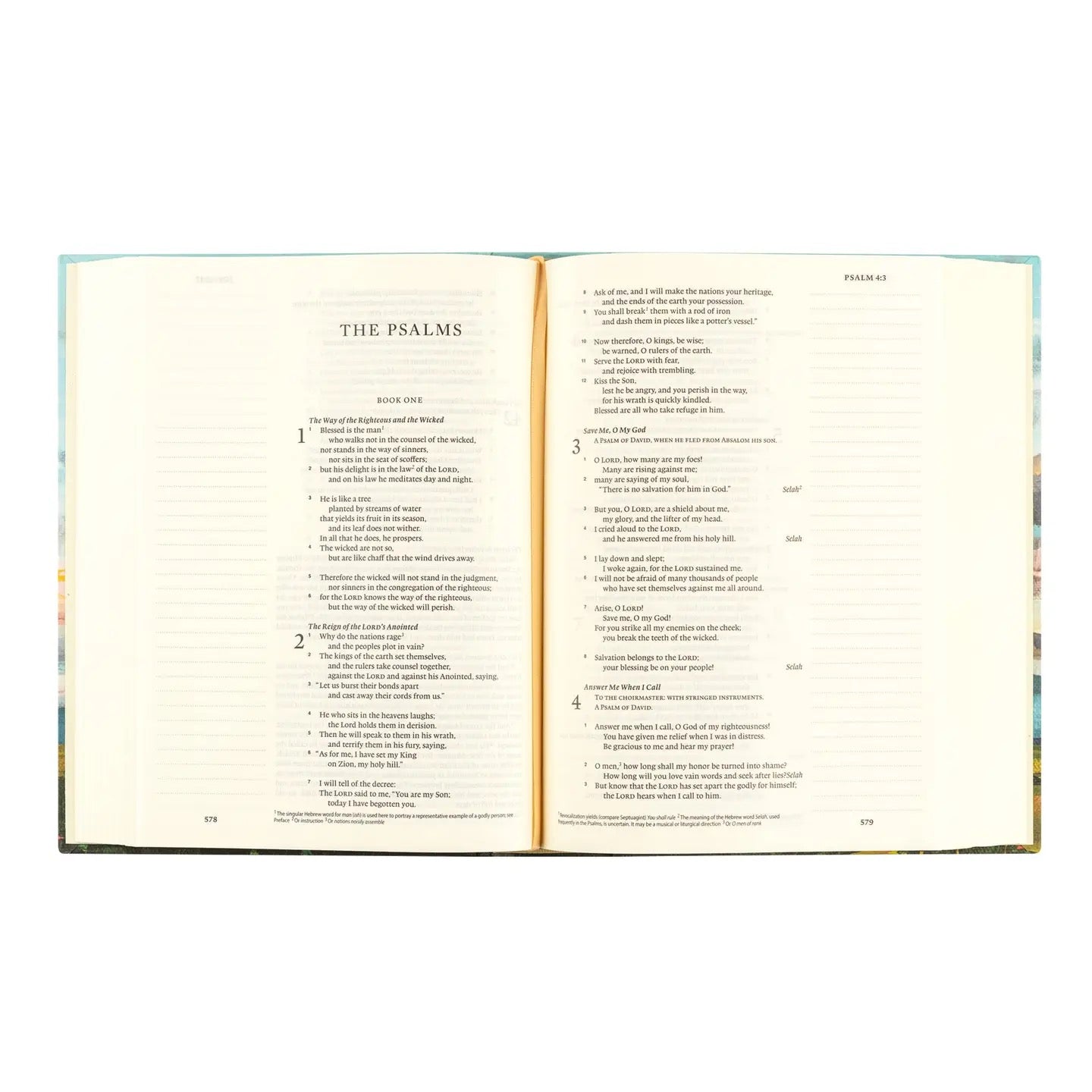 ESV Journaling Bible - Santa Lucia