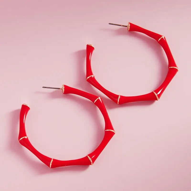 Bamboo Shaped Hoop Earrings