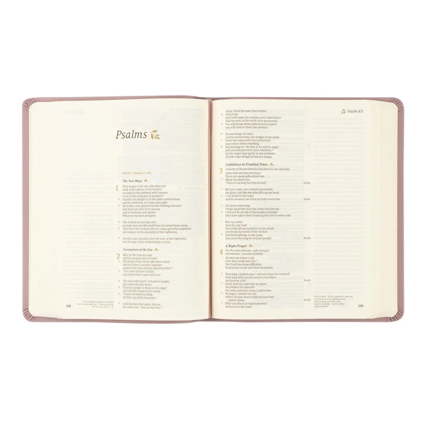 CSB Note-taking Bible: Mauves Theme